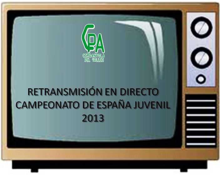 web tv televisor copia